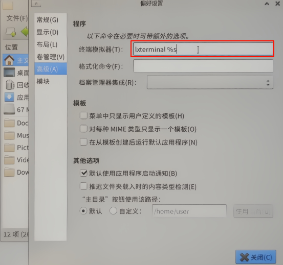 设置终端模拟器